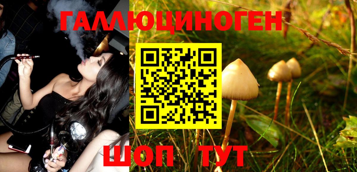 Галлюциногенные грибы Cubensis  Выкса  Псилоцибиновые грибы мухоморы 