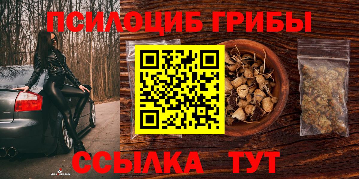 Галлюциногенные грибы мицелий  Вход с VPN  Псилоцибиновые грибы мицелий  Выкса 