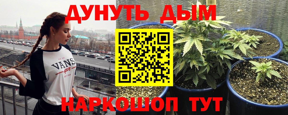 Шишки марихуана гибрид  Шишки марихуана план  Конопля MAZAR  Выкса  Вход с VPN 